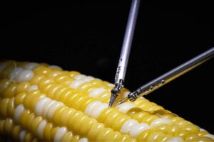 Sony's surgical robot working on a corn cob.