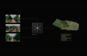 Stereolabs' Terra AI does sensor fusion for greater robot precision